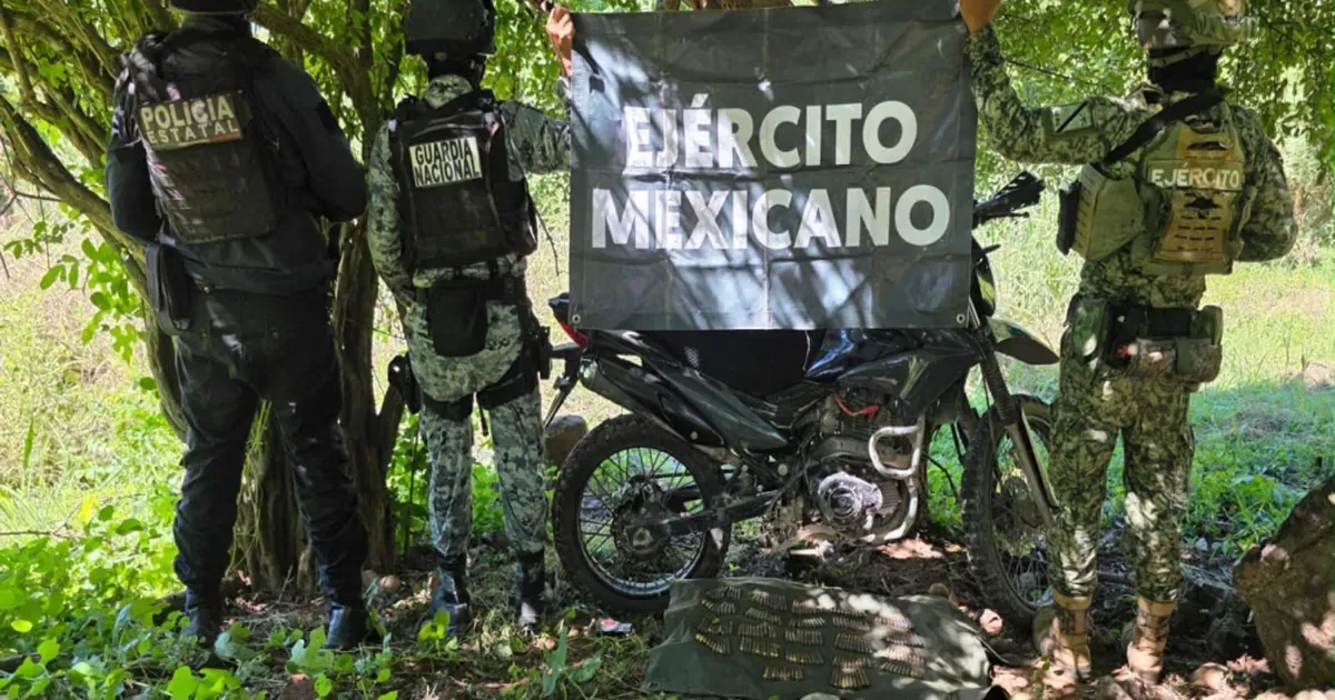 Erradican 51 mil plantas de marihuana en La Yesca