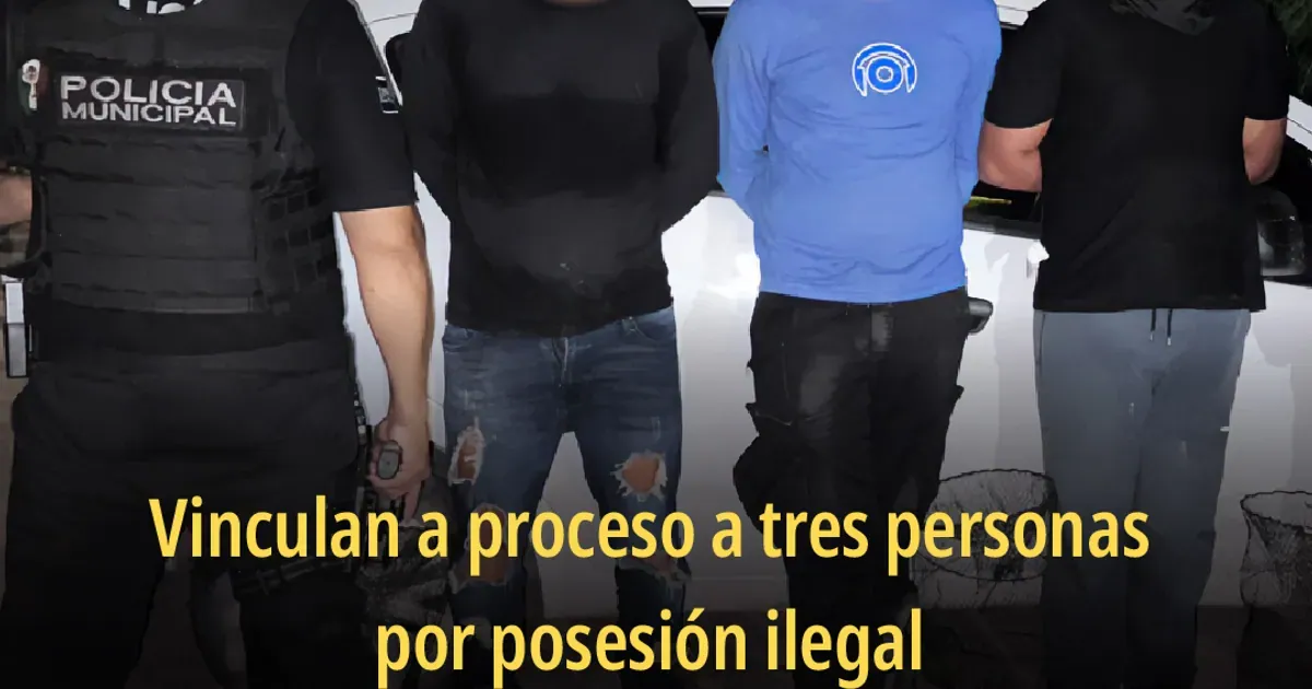 Primer proceso en Vallarta por saqueo de tortuga casquito