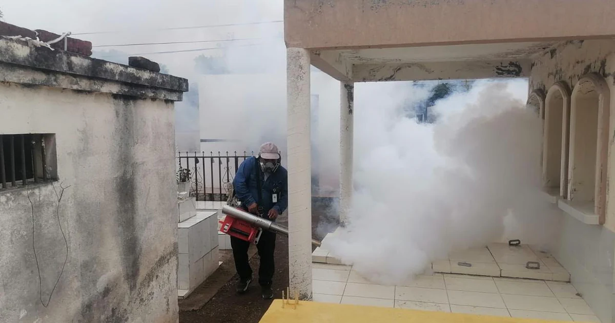 Salud fumiga panteones de Nayarit contra el dengue
