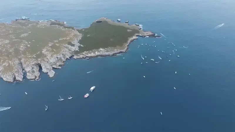 Restauración de Arrecifes Coralinos al 22 por Ciento