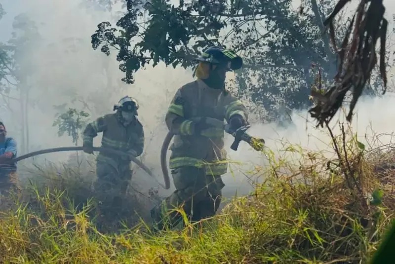 Debemos sancionar a quienes provocan incendios forestales: Diputado
