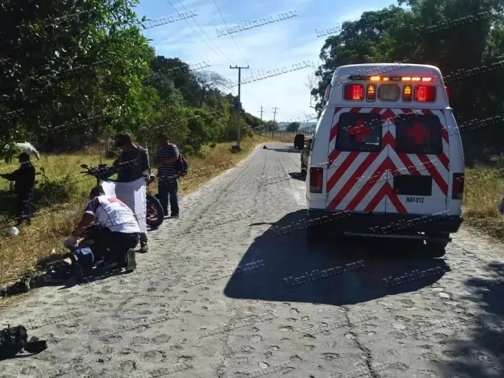 Se le atravesó un potrillo y terminó en el empedrado fracturado