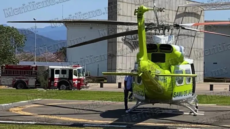 ¡grave mujer picada  por araña violinista!