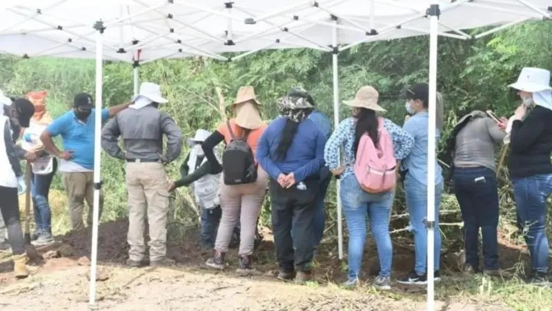 Guasave. Localizan rastreadoras fosa clandestina en dren