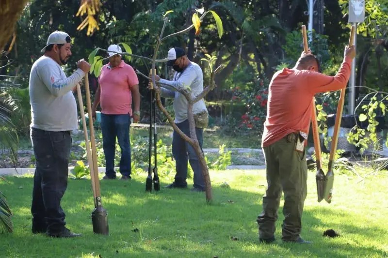 Arreglan Isla del río Cuale; Realizan Trabajos de Mantenimiento y Reforestación