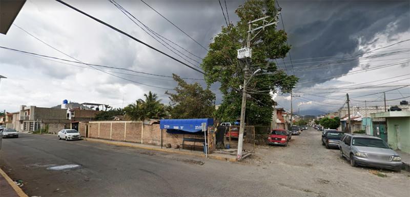Tepic. Vecinos temen por su vida ante árbol que choca con cables de alta tensión en la H. Casas