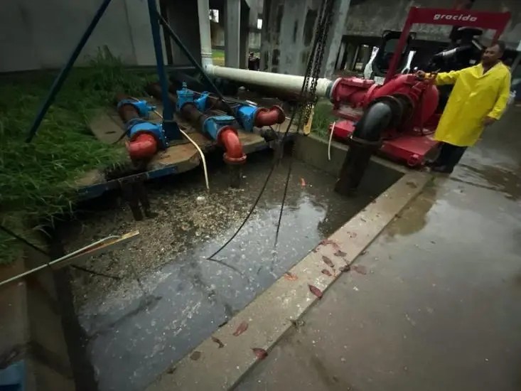 Recolecta Seapal 4 Toneladas de Basura al mes en sus Plantas