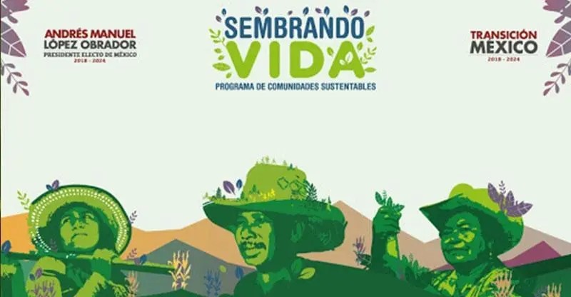 Un fracaso el programa \"sembrando vida\": Rafael del Horno