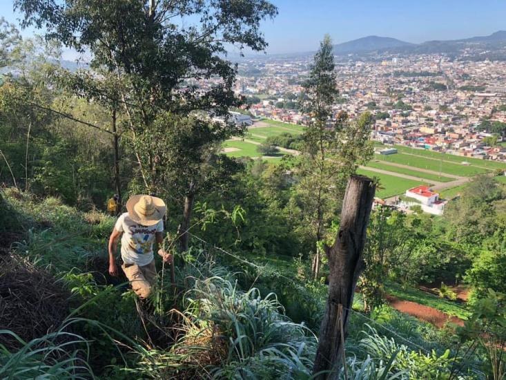 Tepic. Avanza Programa de Reforestación en el Cerro de la Cruz