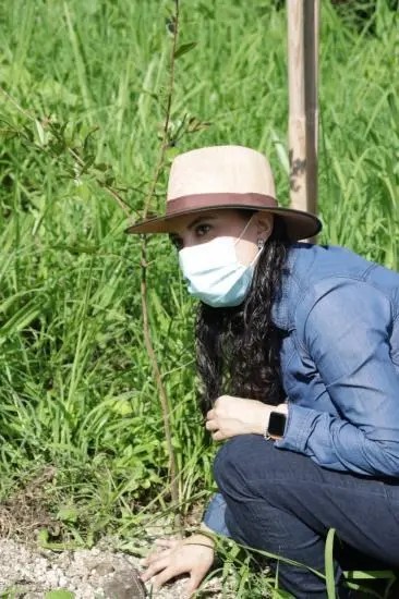 Continúa Julieta Mejía con actividades de reforestación