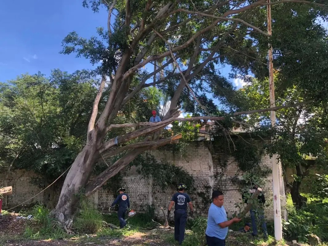 La prevención es la mejor inversión que puede hacer un gobierno.