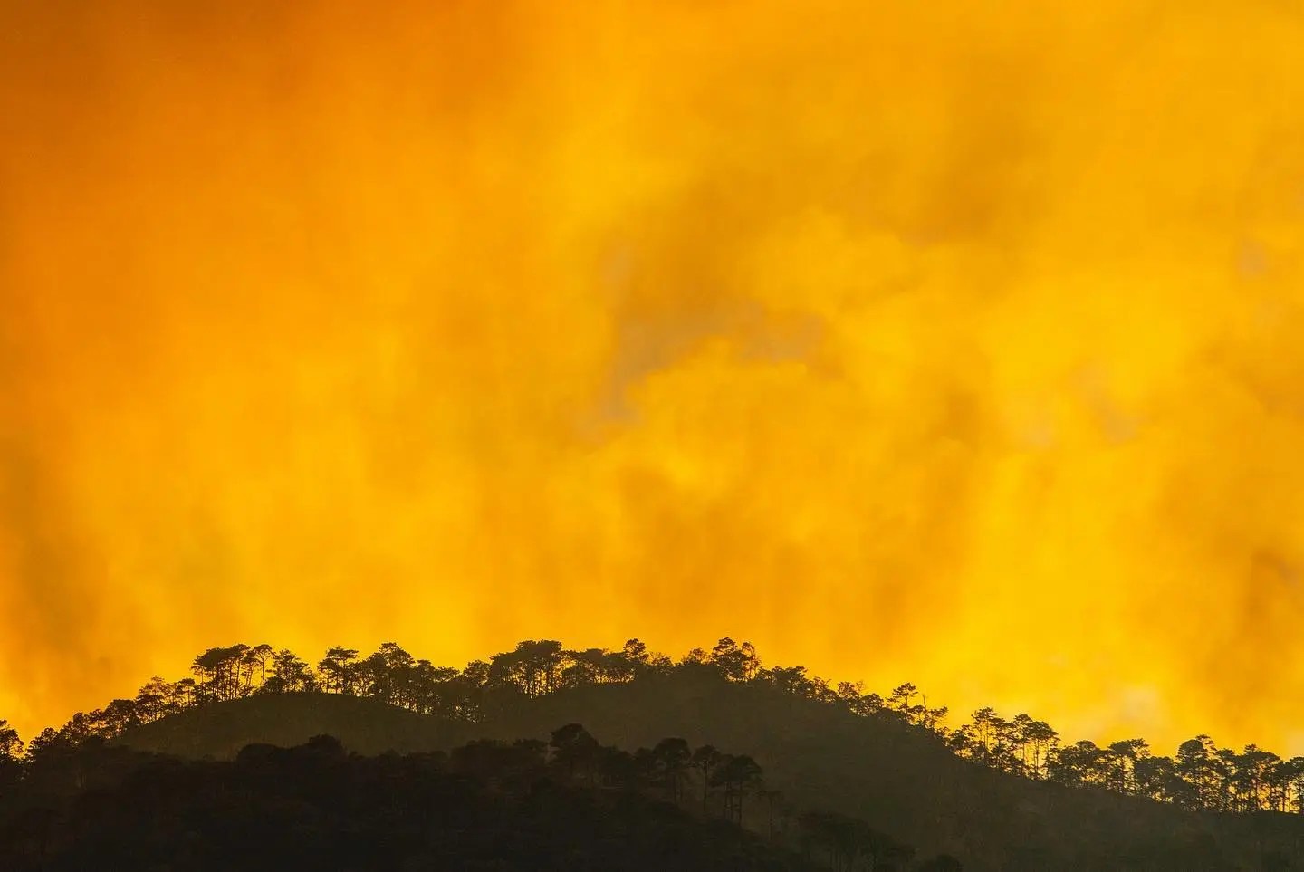 Los incendios no cesan en Nayarit