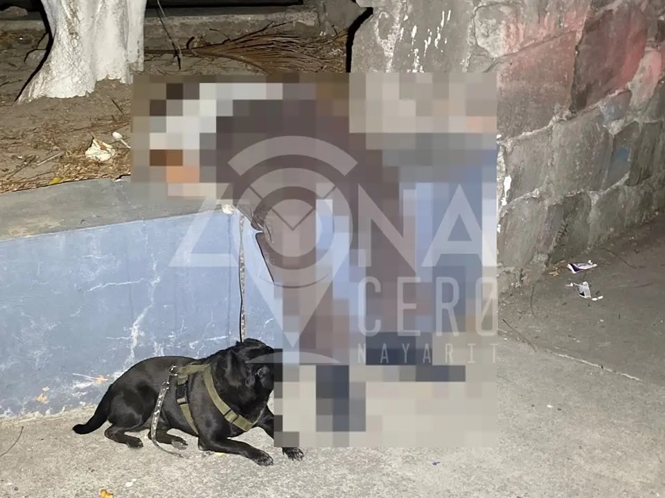 Fallece abuelito en la Alameda acompañado de su perro