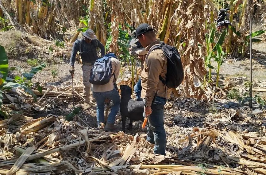 Reinicia fiscalía de Nayarit trabajos en 'La cueva del diablo'