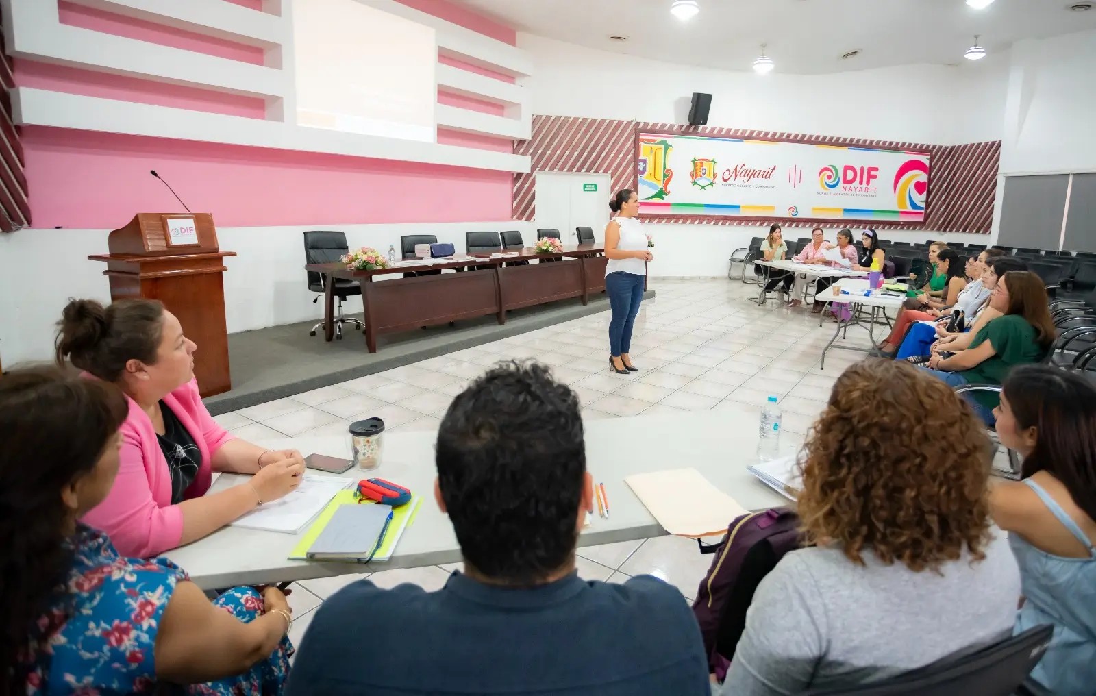 Capacita DIF Nayarit a especialistas de la salud mental