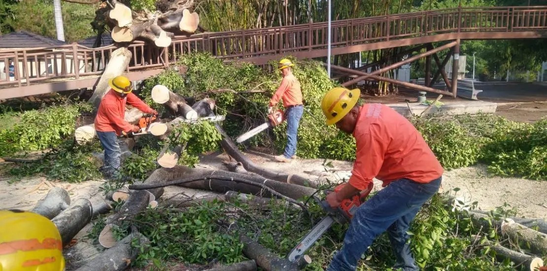 Nuevo cierre intermitente del libramiento de Tepic debido a tala de árboles