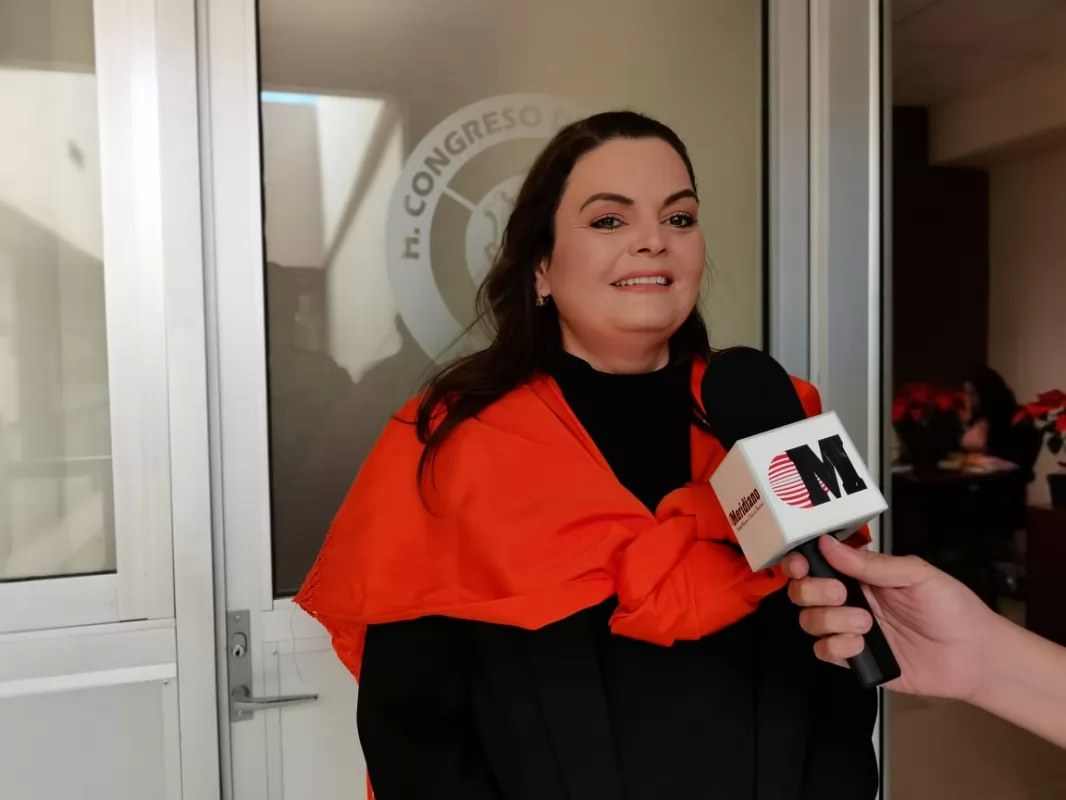 Sí no somos creativos, no vamos a poder hacer nada: Diputada