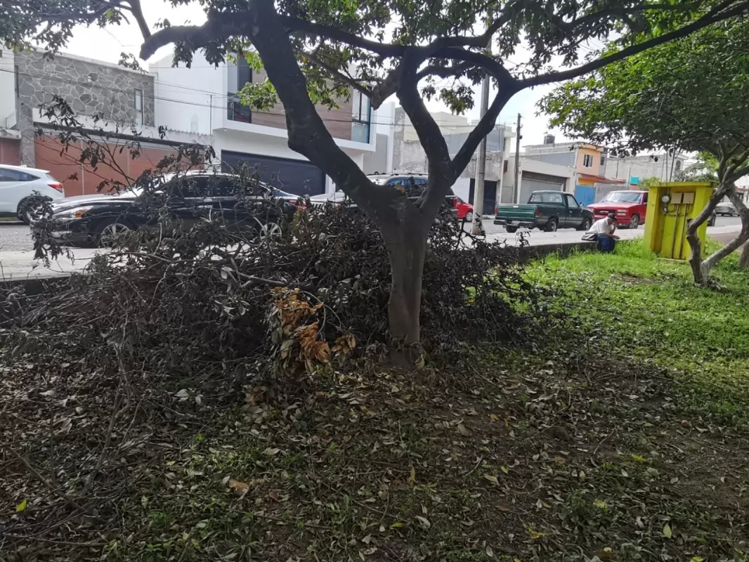 Lamentan indiferencia del Ayuntamiento de Geraldine Ponce