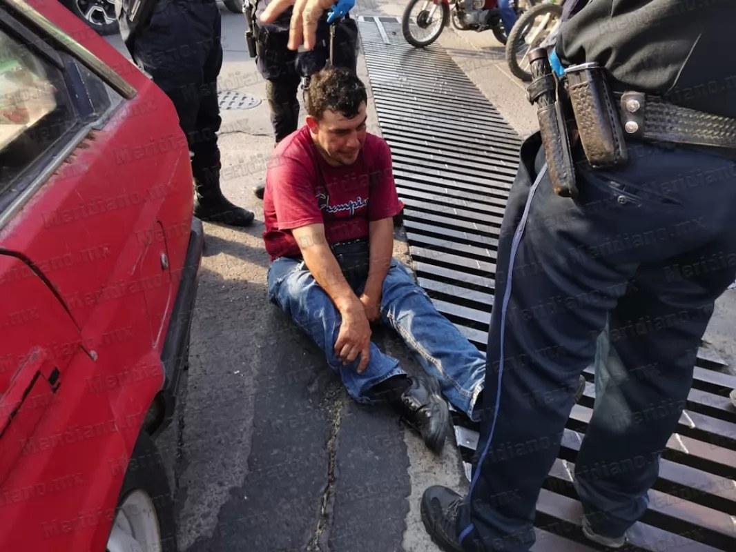 Voló tortillero en la mololoa