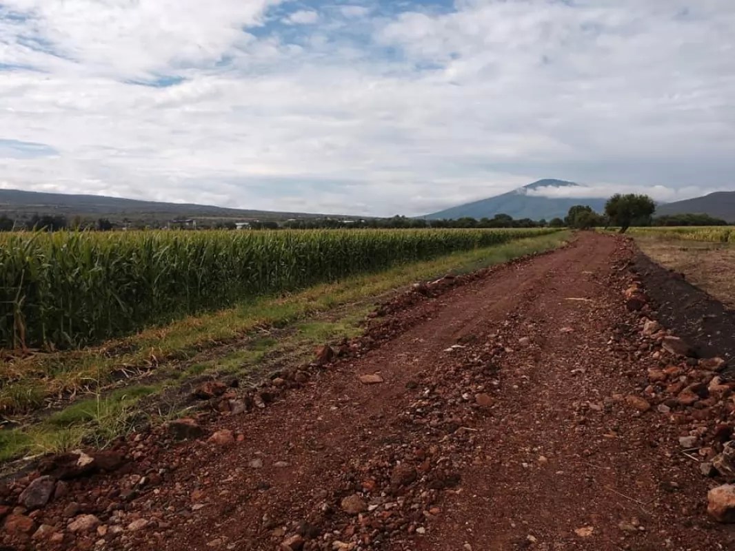Urgen apoyo de maquinaria para productores en Tuxpan
