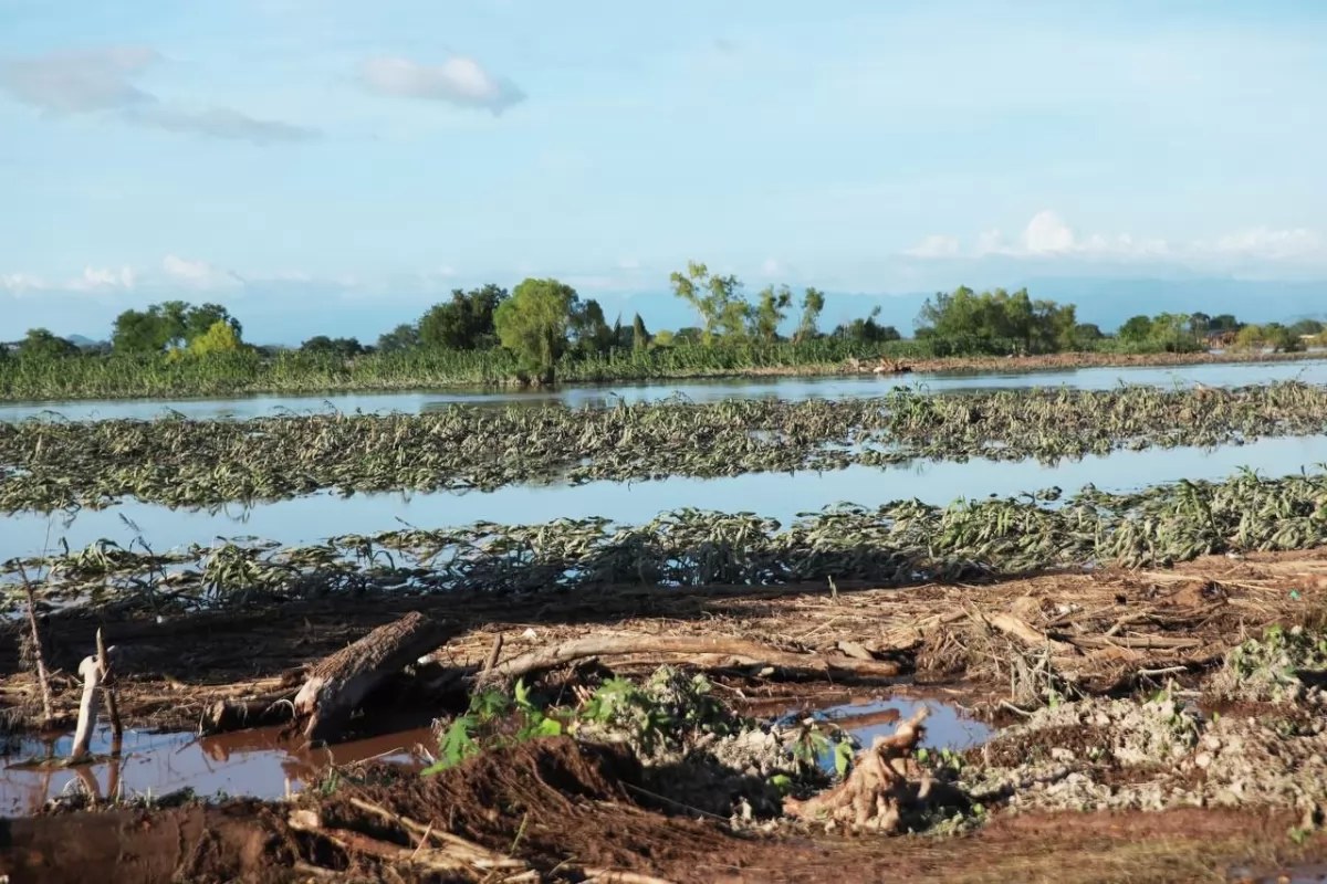 Activarán seguro catastrófico tras paso de \"Pamela\" en Nayarit