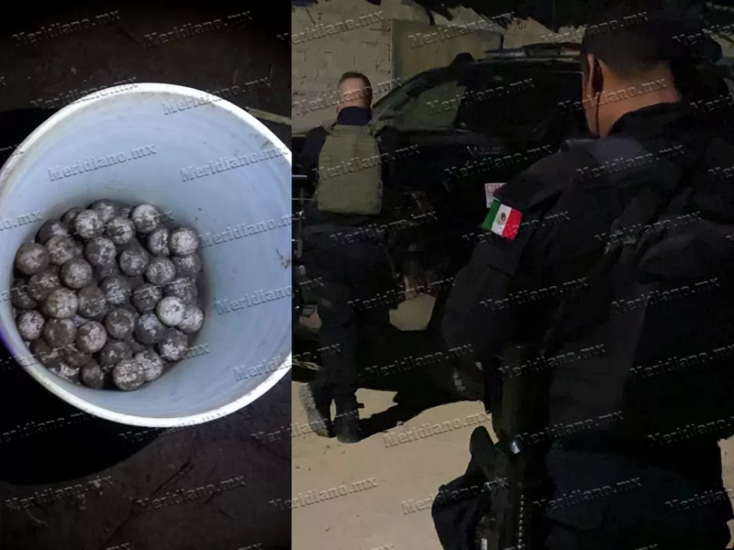Cayeron dos con huevos de tortuga