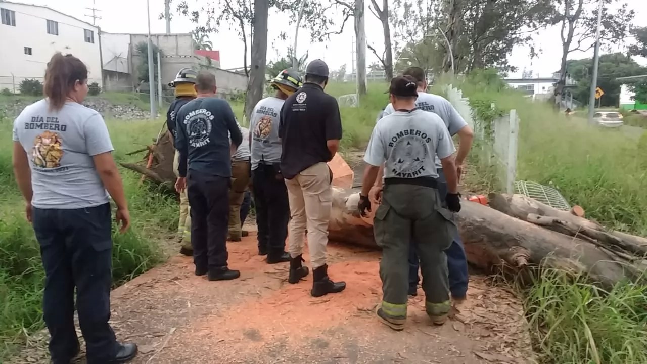 Riesgo de muerte caminar por el Parque Lineal