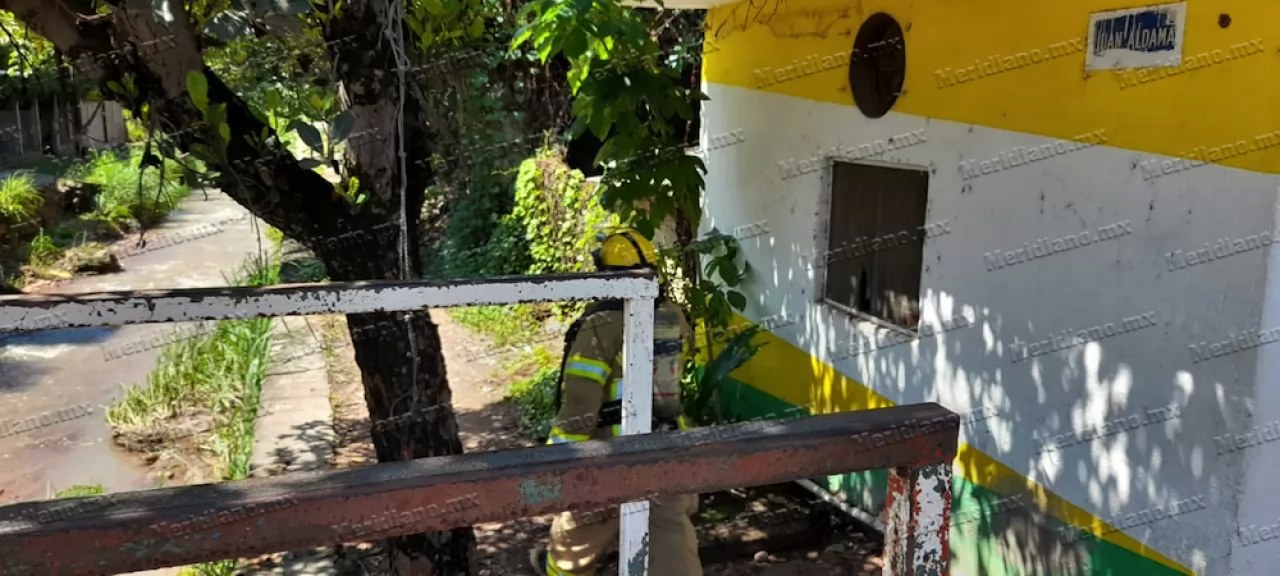 ¡perro ocasionó un incendio en una casa!