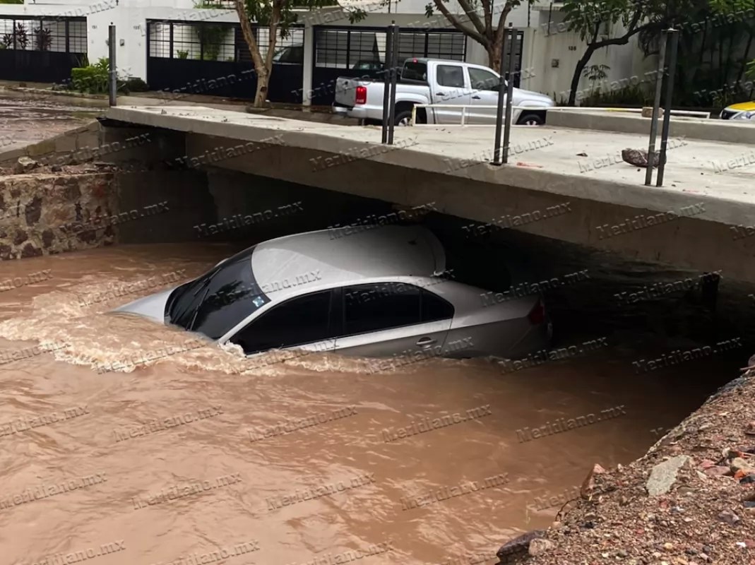¡arroyo arrastró un auto en delfines!