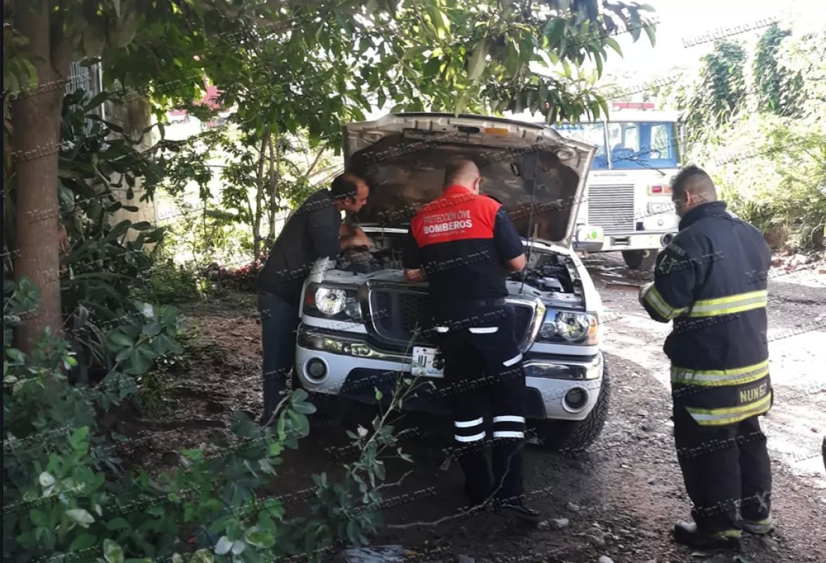 ¡por culpa de una rata por poco se quema su camioneta!