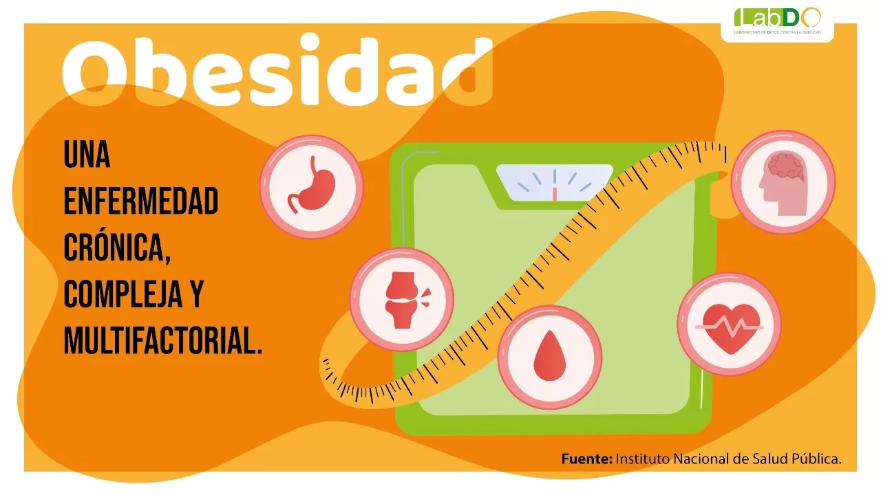Sustitutos del azúcar, alternativa viable,  según expertos