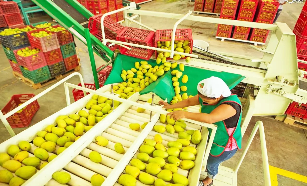 Aporta campo y pesca sólo 7% del PIB