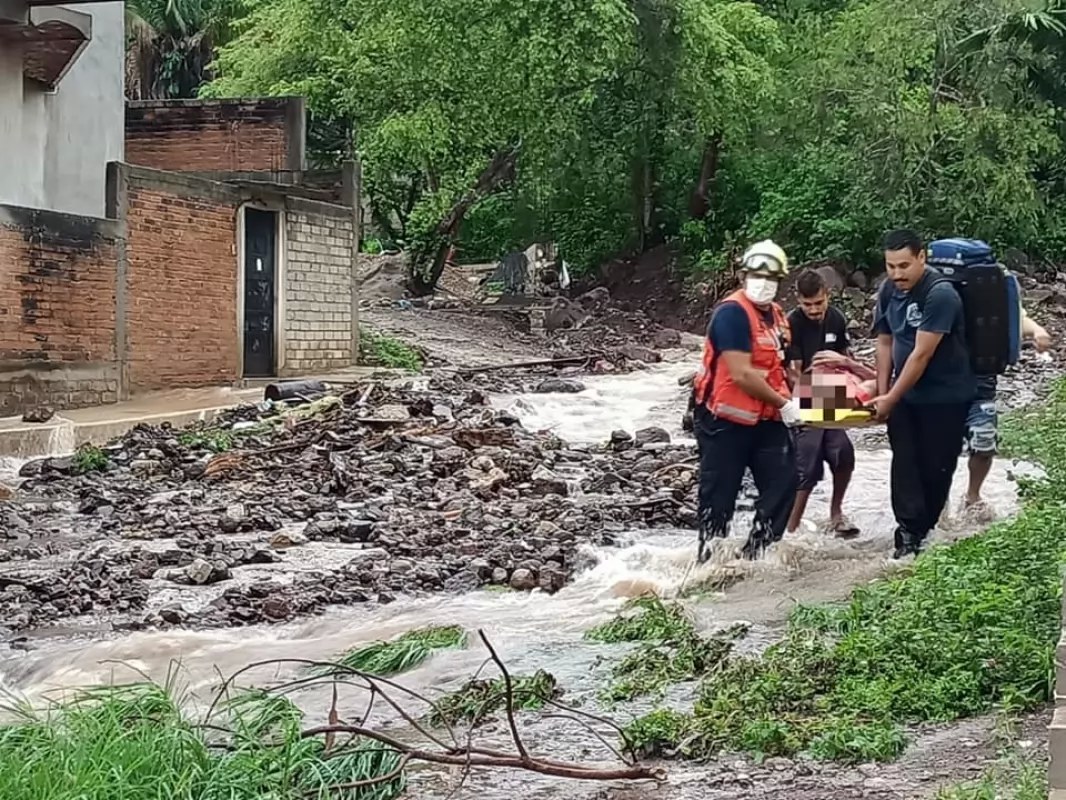 Cae barda sobre una persona en Los Ayala