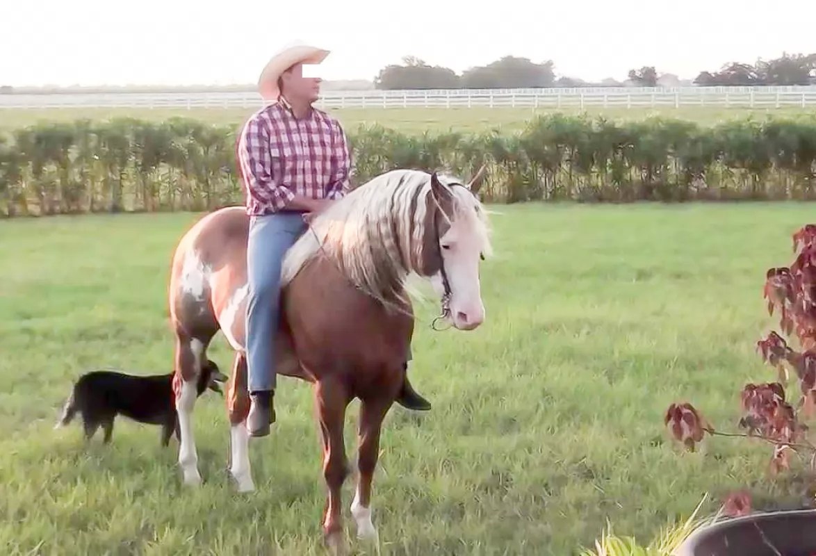 Falsificó documentos para apropiarse de El Ensueño