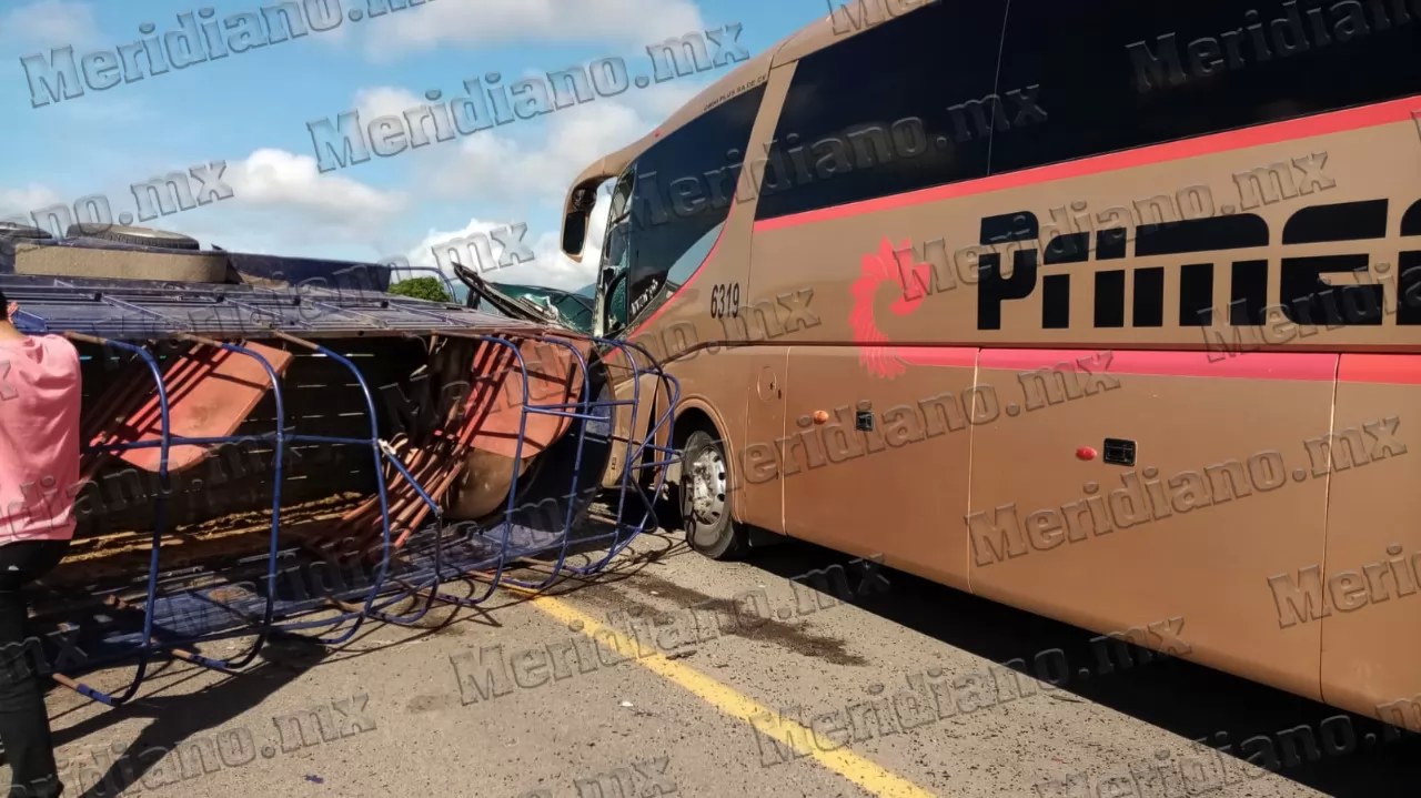 ¡brutal choque de autobus de primera plus!