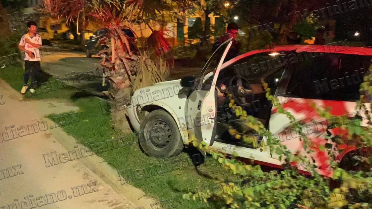 ¡chevy chocó con palmera!