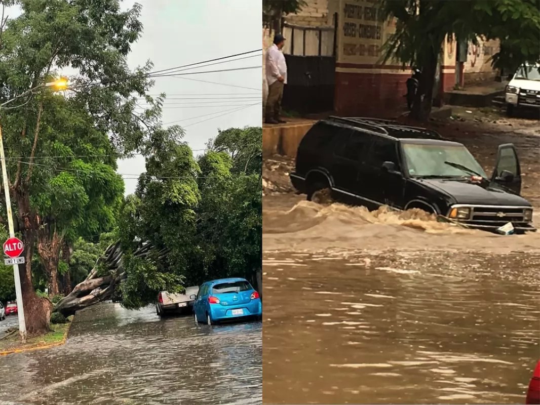 Intensas lluvias sorprenden Tepic; Reportan daños y caídas de árboles