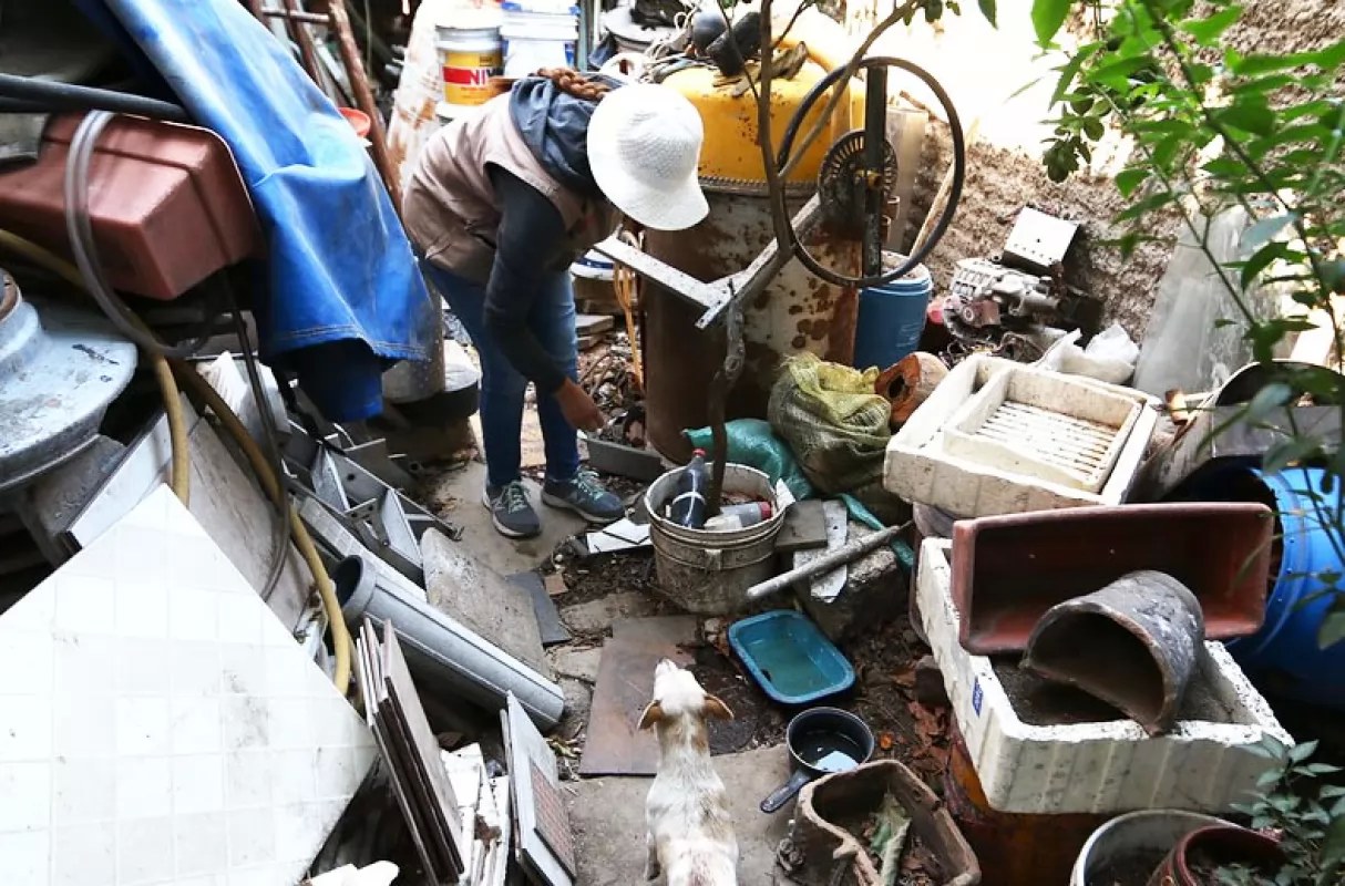 Llaman a nayaritas a unirse a la campaña de descacharrización