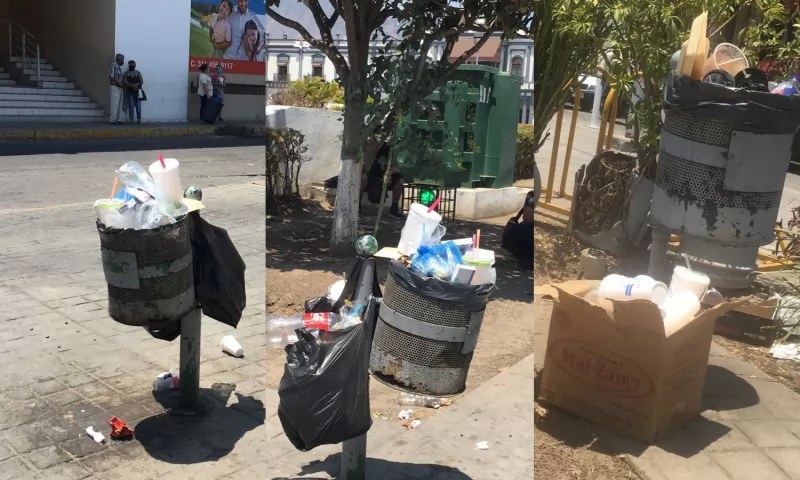 Ahuyenta ventas y da mala imagen basura en Tepic