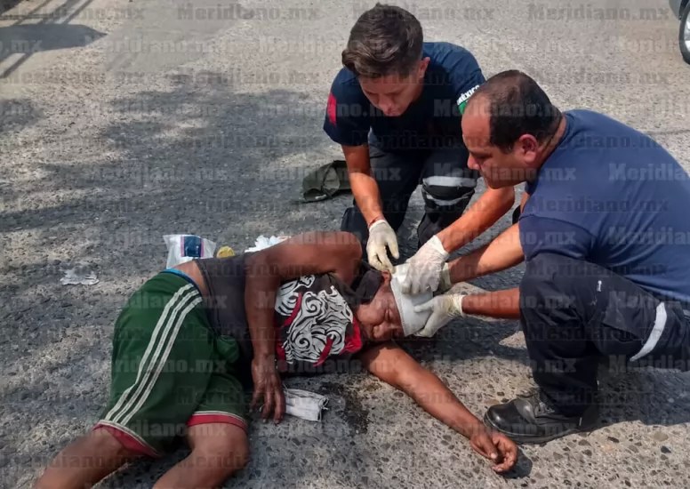 \"El Oso\" fue atropellado en la Bobadilla