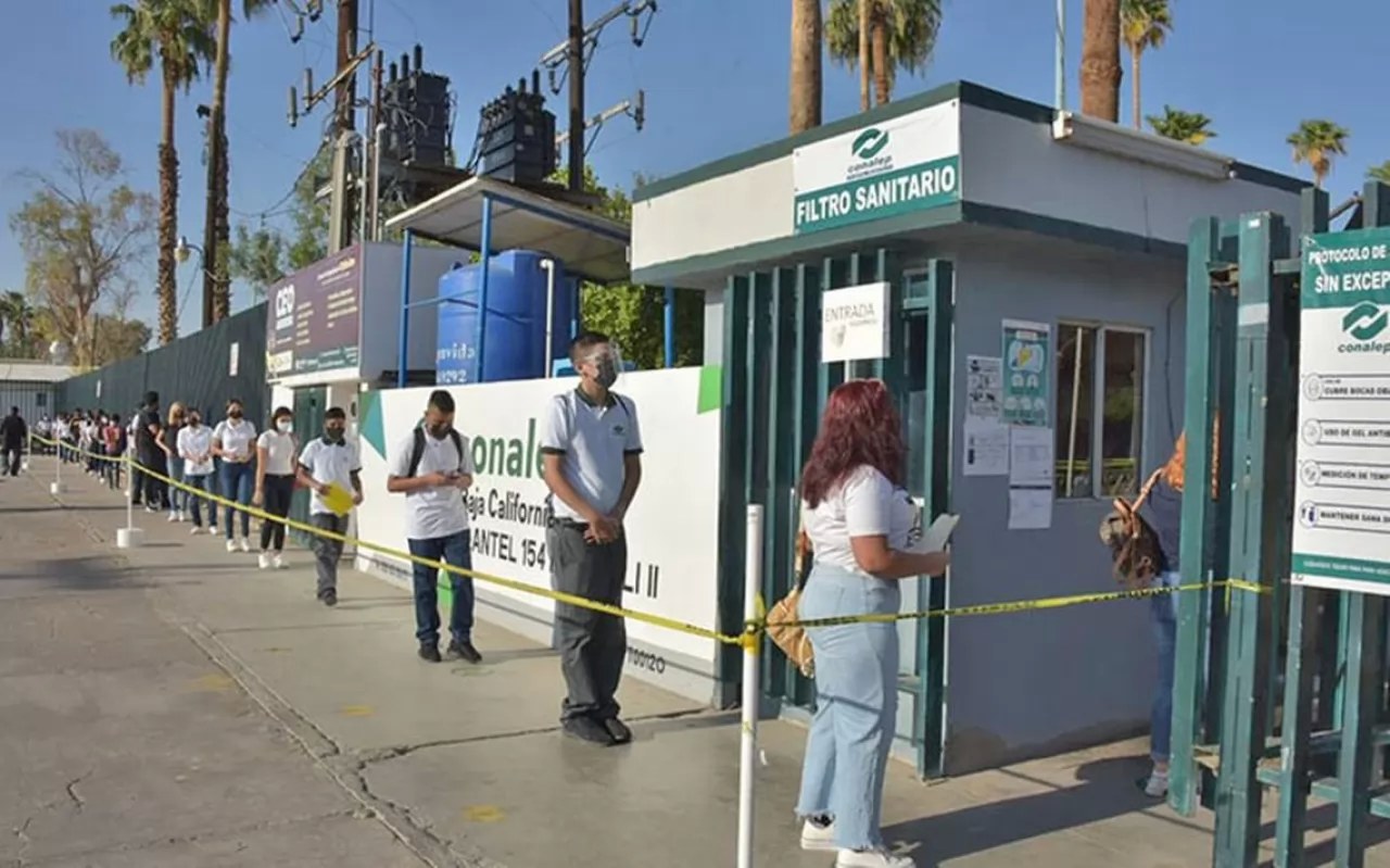 Reanuda Conalep actividades presenciales en 313 planteles