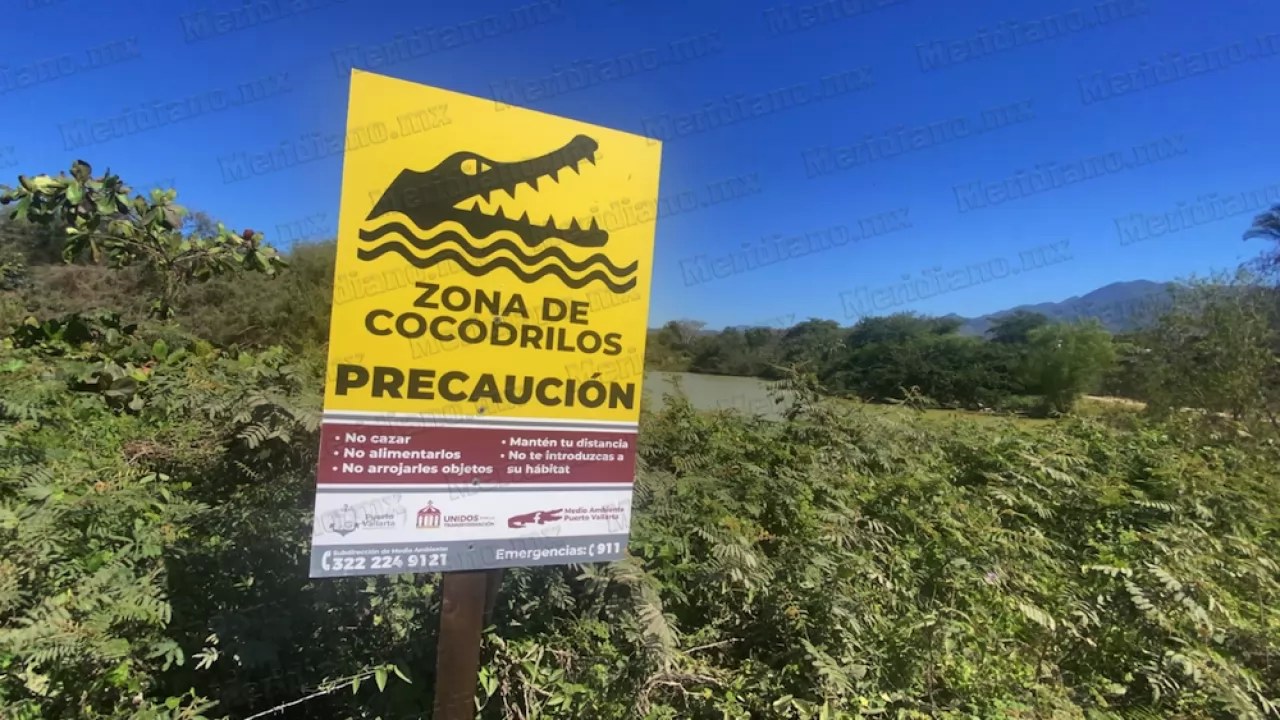 Devoran cocodrilos perritos en Los Lagos de Vallarta