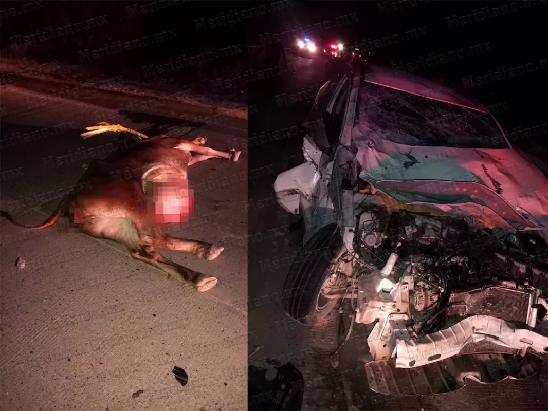 ¡vacazo en crucero del cuc!