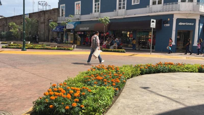 Tepic. Adornan con flor de Cempasúchil espacios públicos