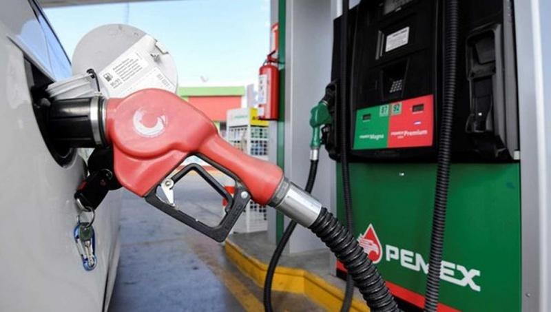 Por sobreoferta de Pemex y privados, mercado de gasolina está “inundado”: Rocío Nahle
