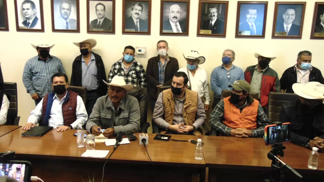 Mejoran precios para productores de frijol en Nayarit