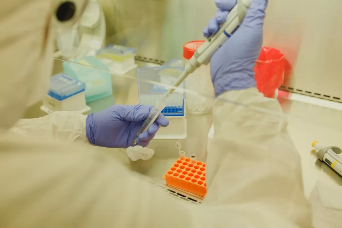 Descubren 132 mil nuevos virus similares al SARS-CoV-2