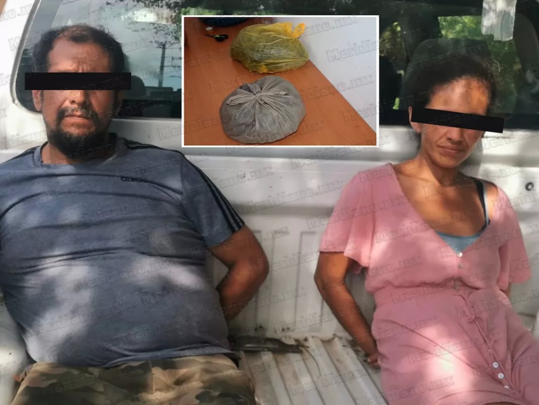 ¡traían pura \"master kush\"!