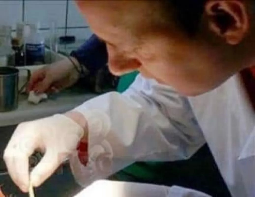 Abren registro de solicitudes para formar parte del Padrón de Peritos y Auxiliares