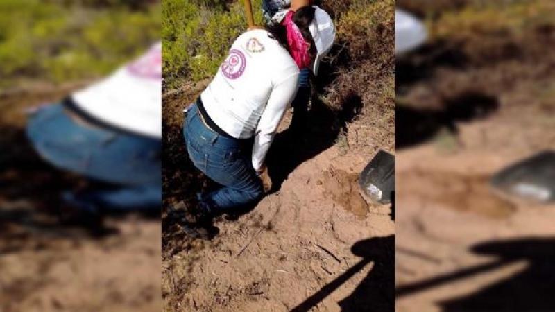 Colectivo encuentra 19 fosas con restos óseos en Valle de Guaymas